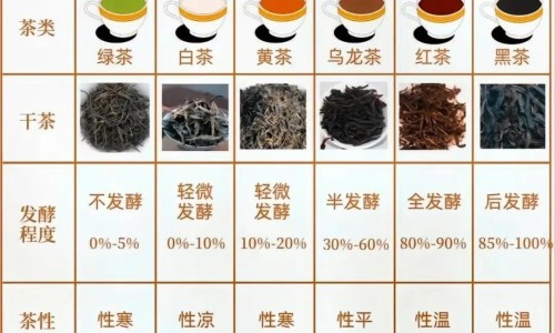 吃肉吃的少会缺什么-吃肉少会不会导致胎儿营养不良-专业吃肉很少对身体有影响吗平台-吃肉很少对身体有影响吗