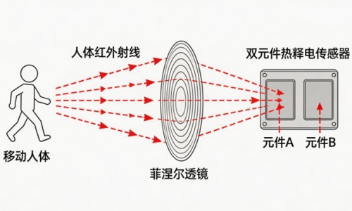 吃肉少会不会导致胎儿营养不良呢-吃肉少会不会导致胎儿营养不良-专业吃肉很少对身体有影响吗平台-吃肉很少对身体有影响吗